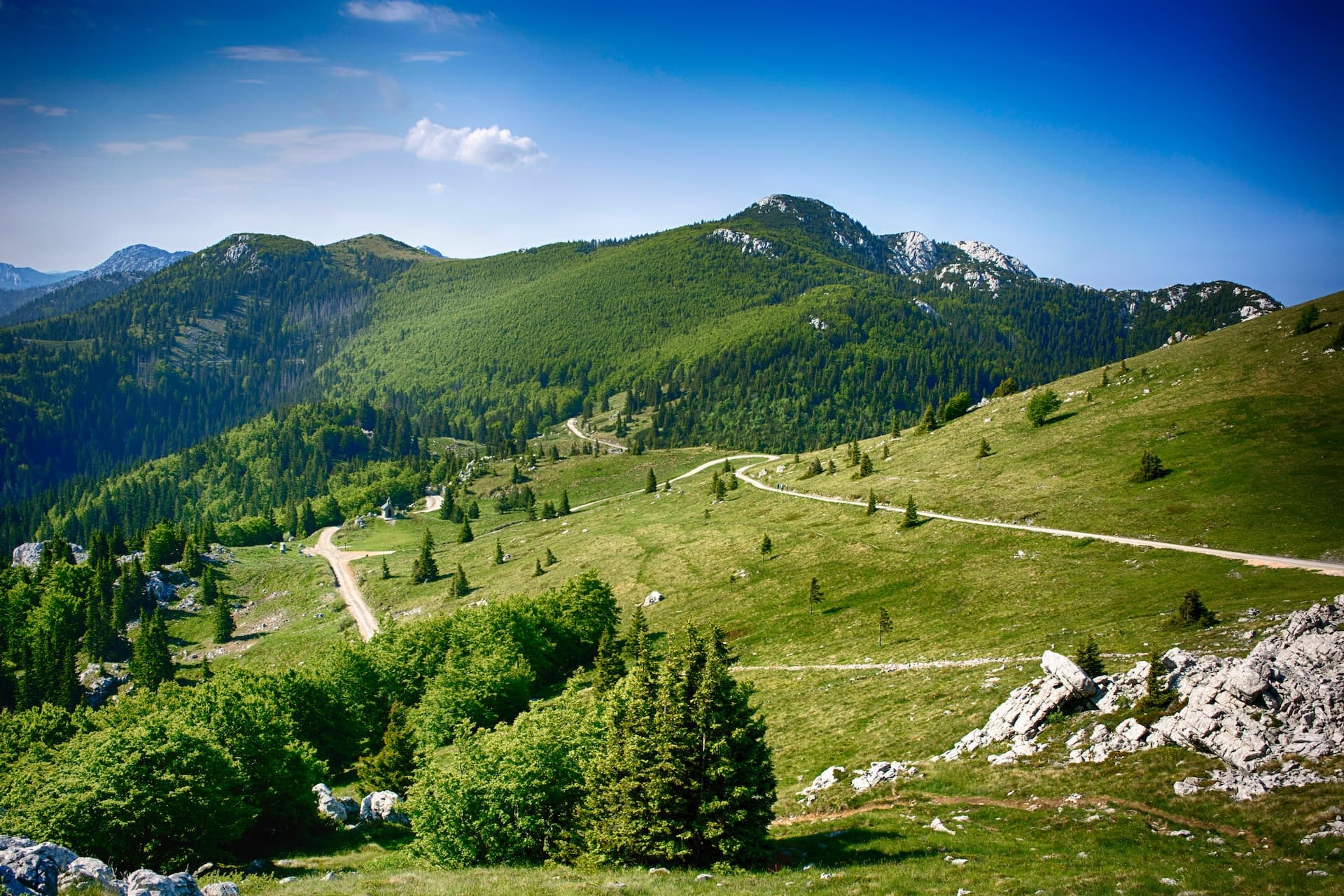 Winding dirt road across green mountain slopes under a bright blue sky, view from Zavižan.