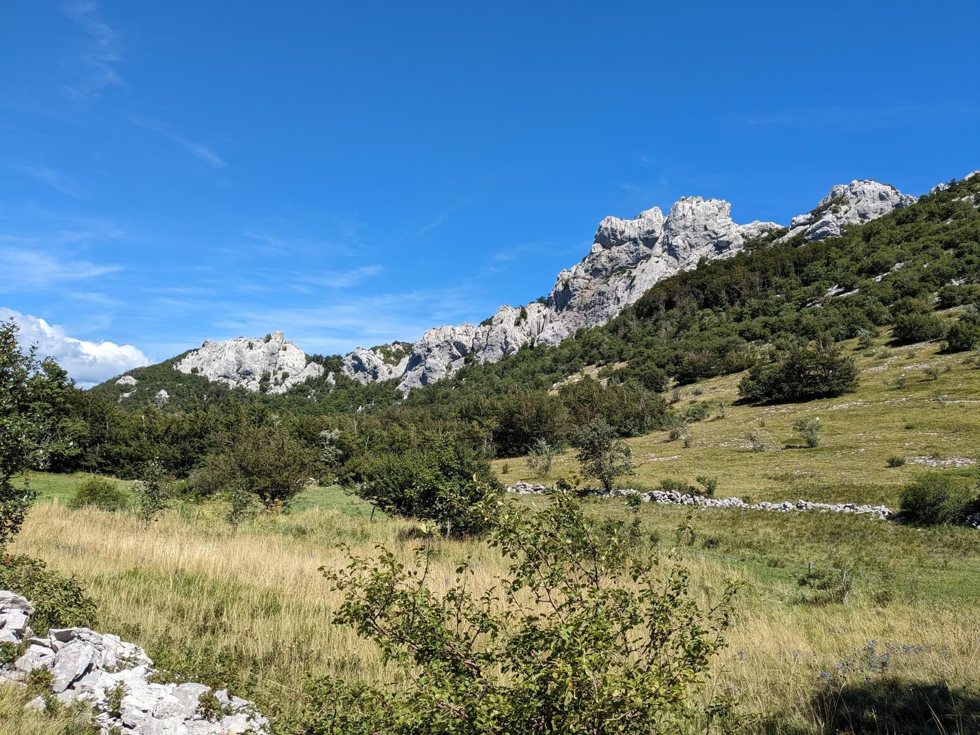 Rocky mountain peaks rise above a grassy slope with shrubs under a clear blue sky.
