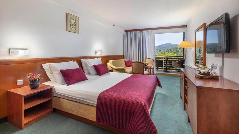 Hotel Jezero image 2