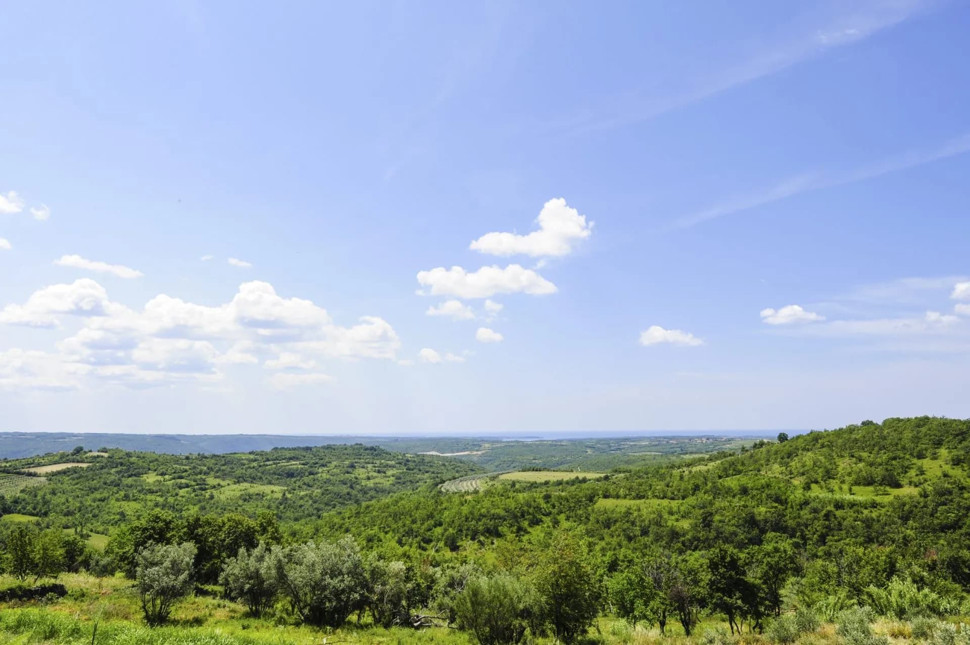 Rolling green hills covered in dense forest under a bright blue sky near Krasica.