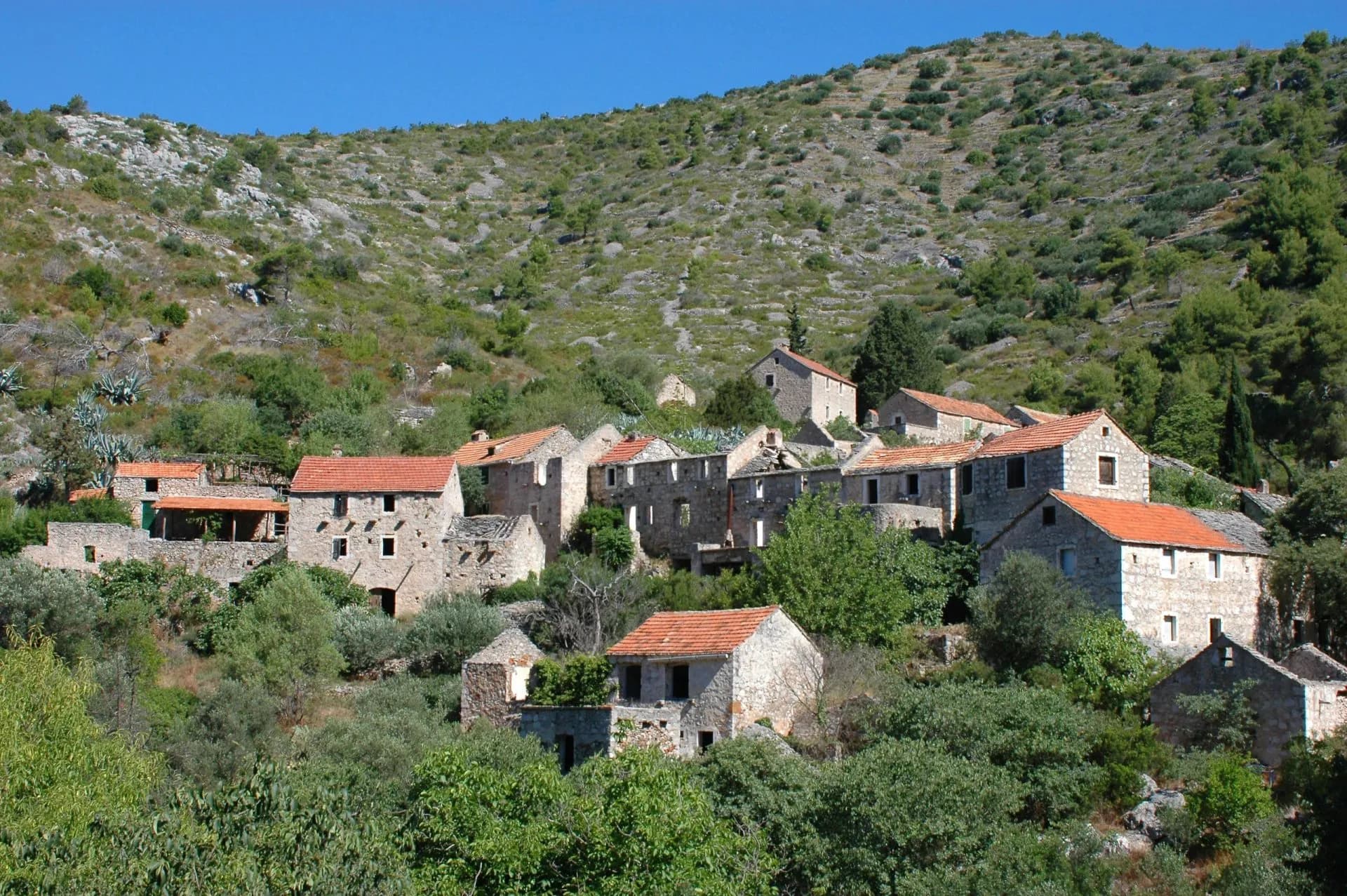 Stone houses with red tile roofs nestled in dense green vegetation below a scrub-covered hill in Malo Grablje.
