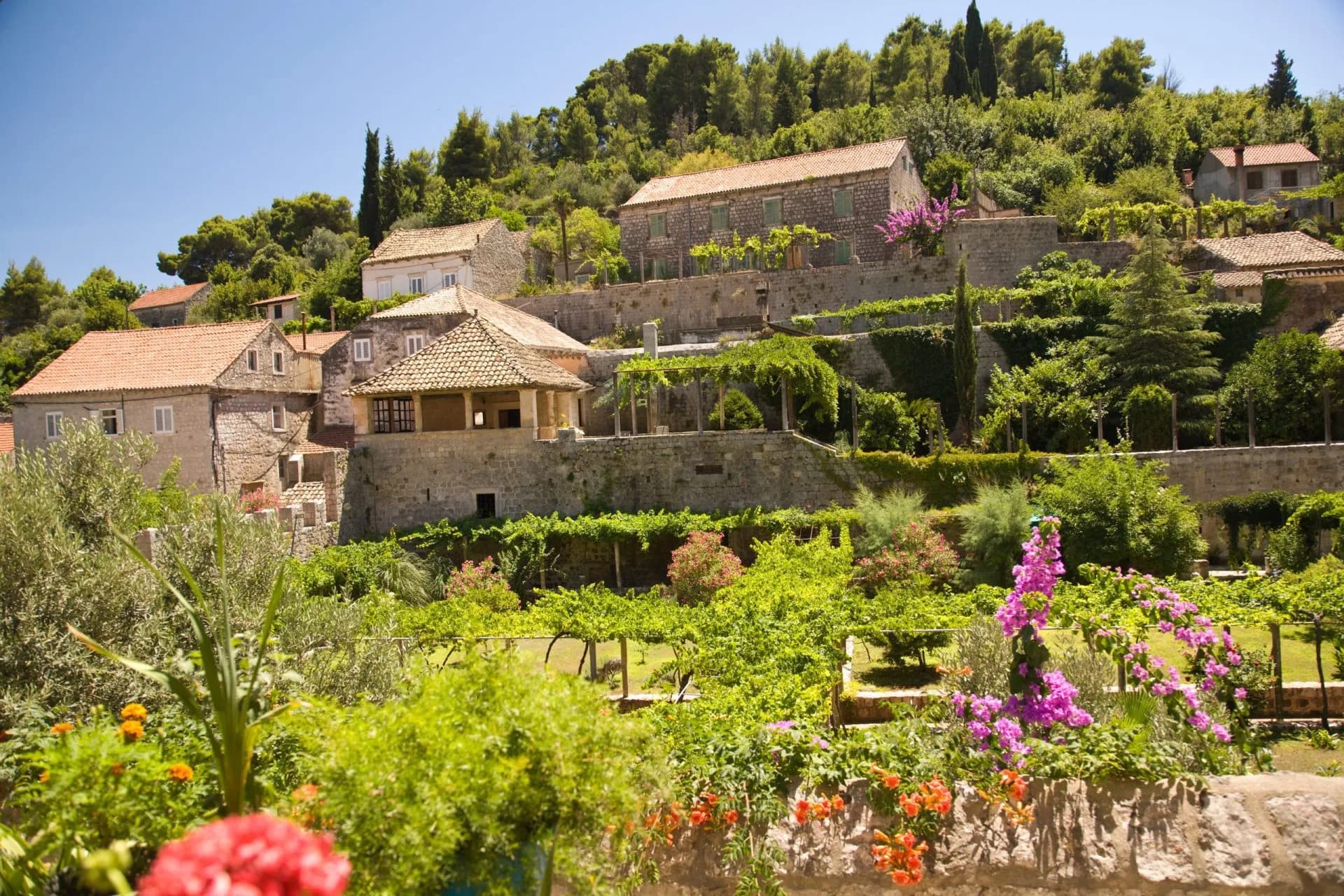 Stone houses on terraced hillside with lush gardens and vibrant flowers in Sudjurađ Fishing Village.
