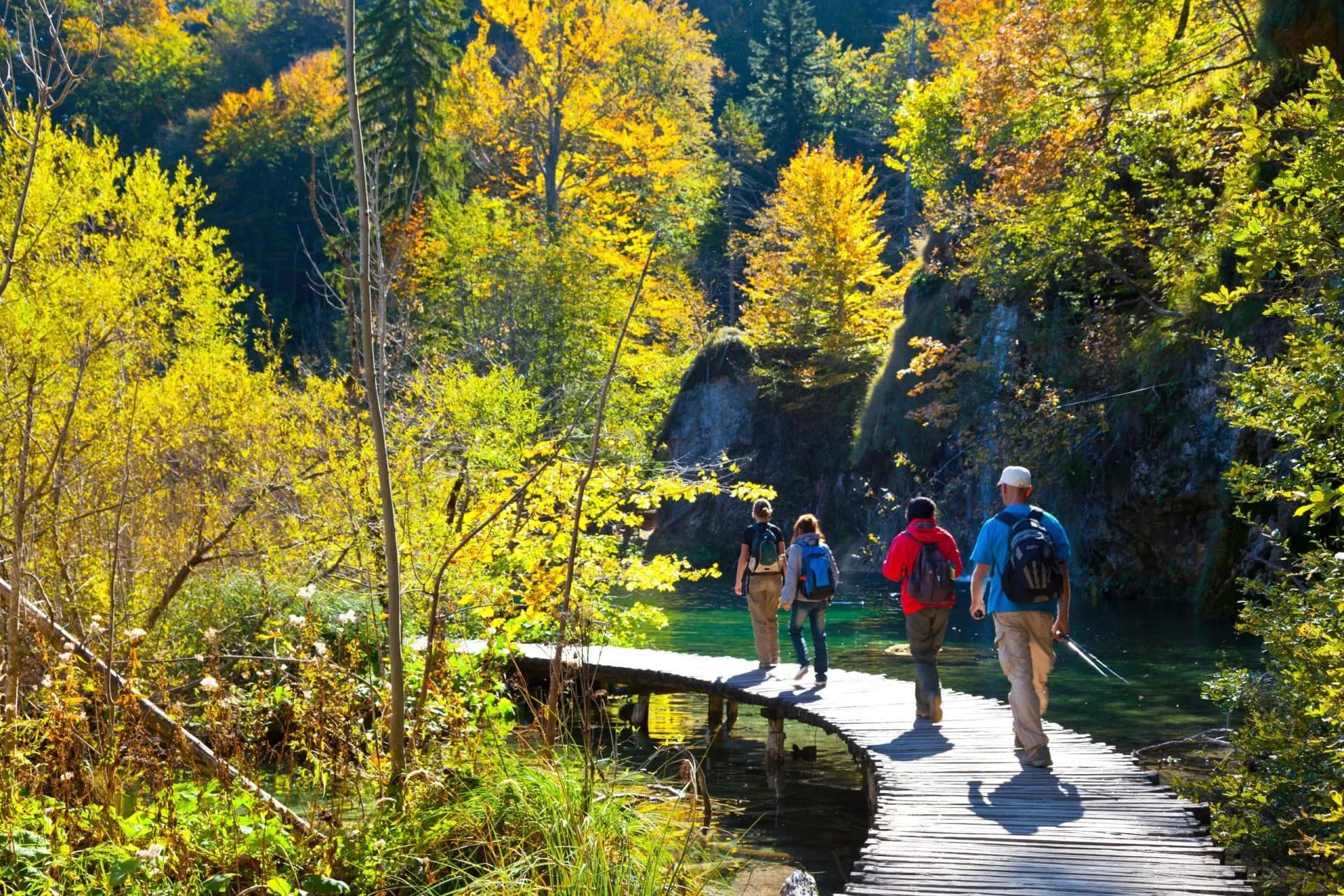 Hikers walking on a wooden boardwalk over emerald water surrounded by bright yellow autumn foliage in Plitvice Lakes Natio...