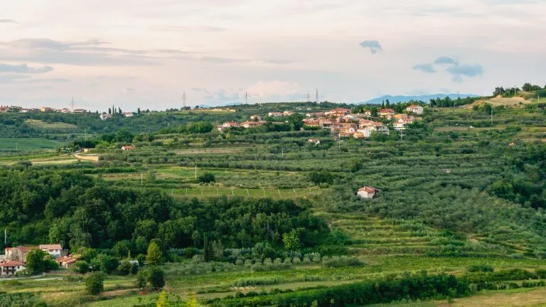 Campo de montaña, olivares en Istria. Hermosa vista del pintoresco pueblo.